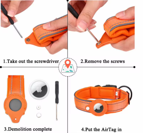 Collier GPS pour chien