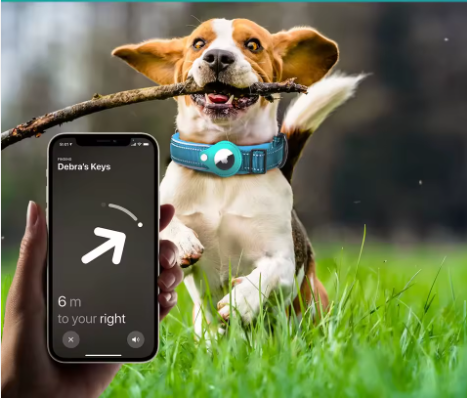 Collier GPS pour chien