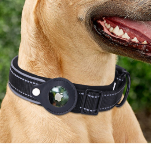 Collier GPS pour chien
